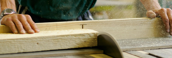 Timber Cutting